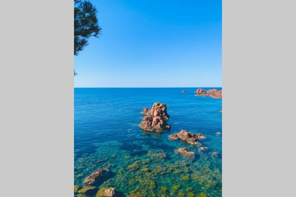 Superbe 4 Couchages Avec Terrasse - Clim - 50M De La Mer Saint-Raphaël Exteriér fotografie