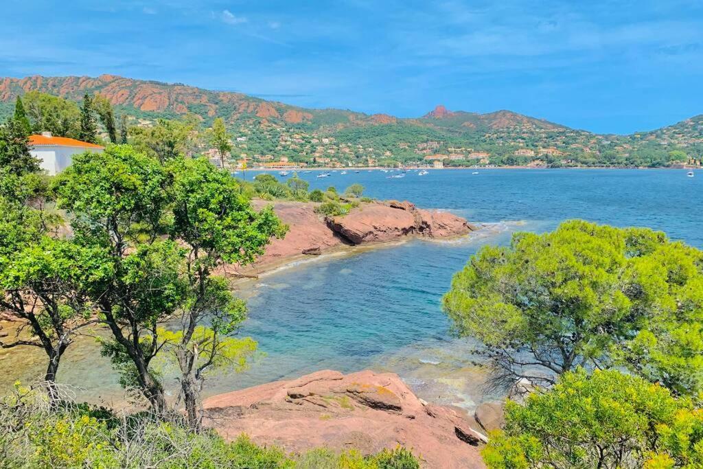 Superbe 4 Couchages Avec Terrasse - Clim - 50M De La Mer Saint-Raphaël Exteriér fotografie