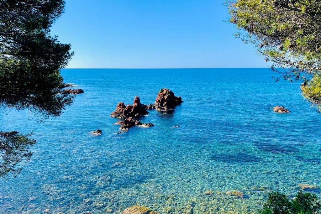 Superbe 4 Couchages Avec Terrasse - Clim - 50M De La Mer Saint-Raphaël Exteriér fotografie